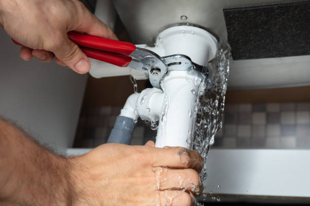 Best Flood damage cleanup  in Frisco City, AL