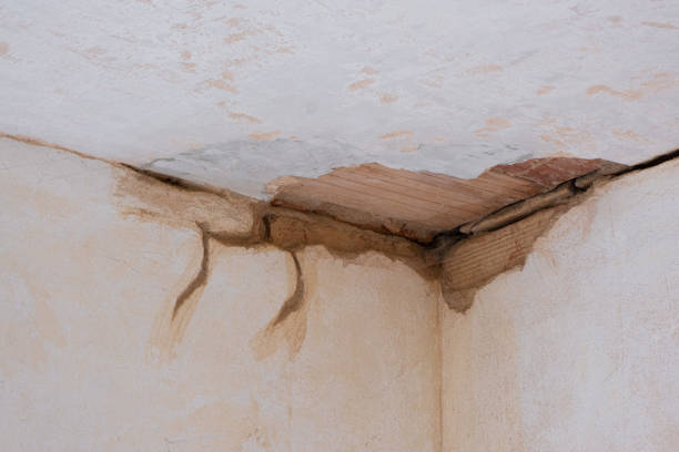 Best Water damage restoration company  in Frisco City, AL