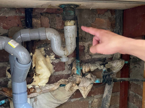 Best Water damage mitigation services  in Frisco City, AL