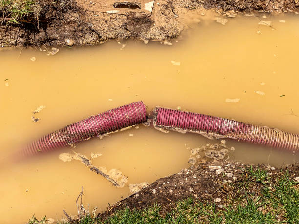 Best Carpet water damage restoration  in Frisco City, AL