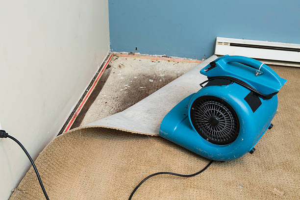 Best Professional water damage repair  in Frisco City, AL